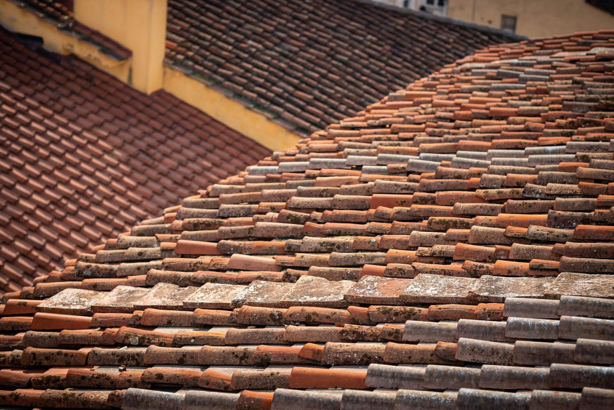 Novella House Florenz